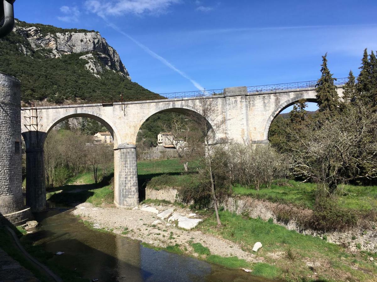 Les Asphodeles