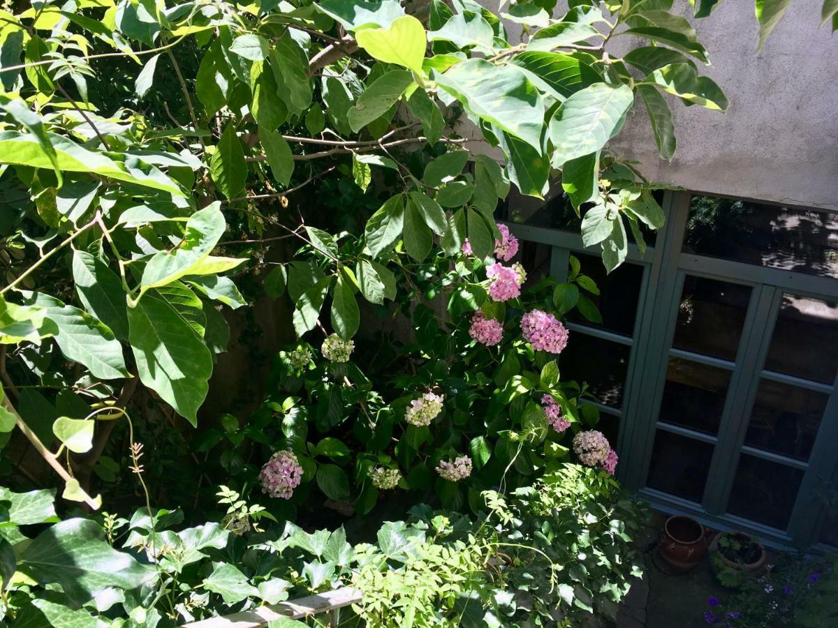 Les Asphodeles Bed & Breakfast Saint-Hippolyte-du-Fort
